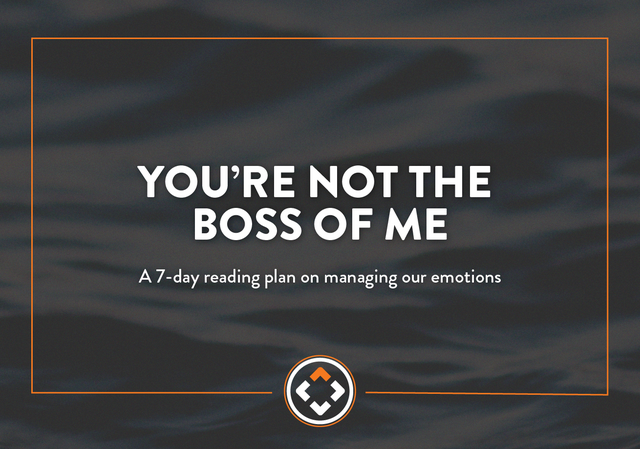 You're not the boss of me reading plan graphic